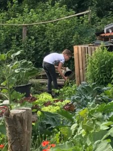 Ontdekken in de moestuin